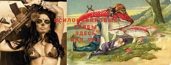 экстази Гусь-Хрустальный