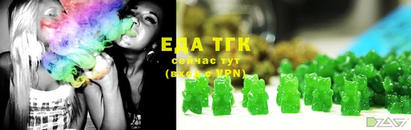 ECSTASY Гусев