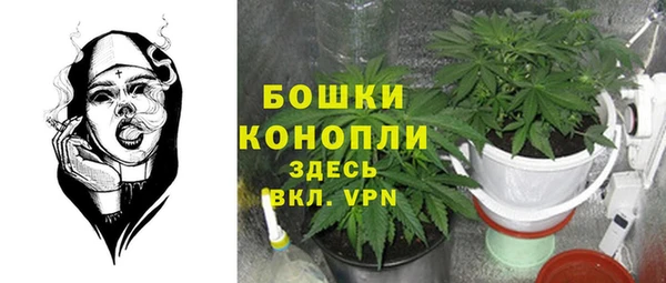 прущие крисы Гусиноозёрск