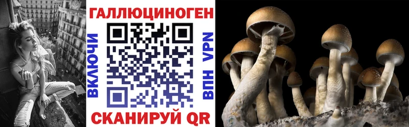Псилоцибиновые грибы ЛСД  Бежецк 